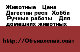 Животные › Цена ­ 50 - Дагестан респ. Хобби. Ручные работы » Для домашних животных   